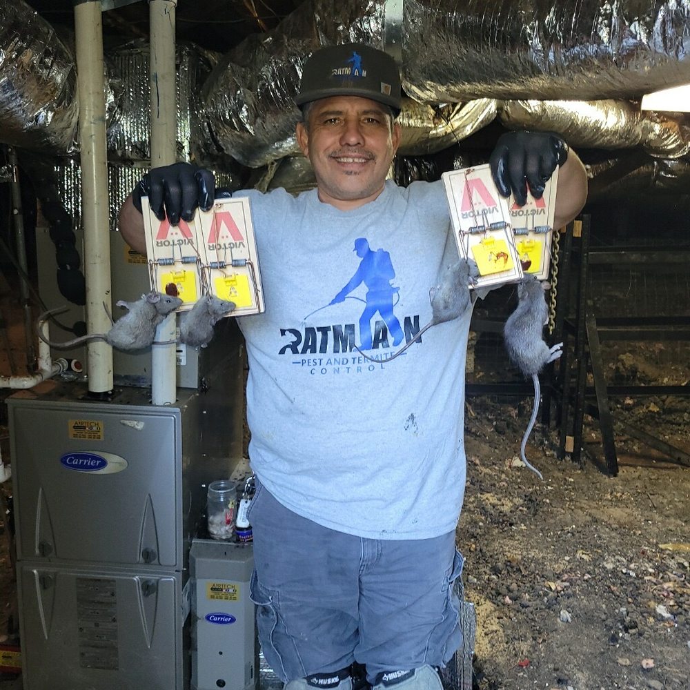 Gilbert in a crawlspace holding rodent traps